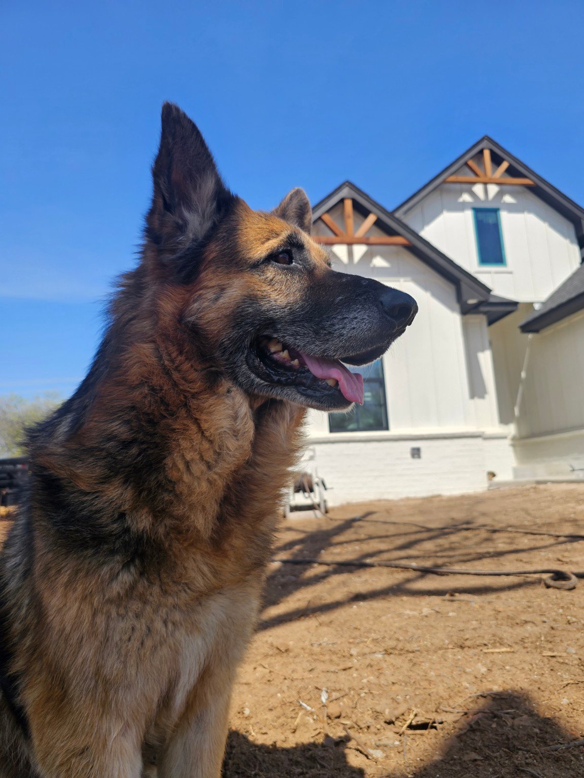 Kobe at the 2229 NW 34 project at 2229 NW 34 ground-up construction project in Oklahoma City